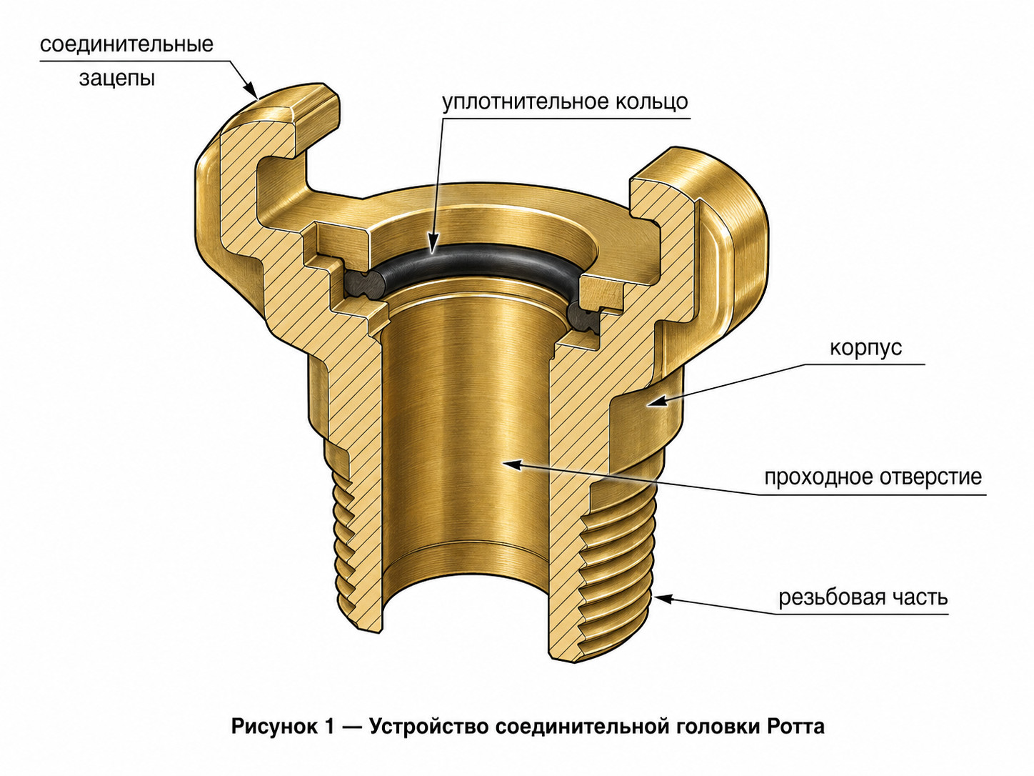 гайки Ротта, головки Ротта, соединительные головки Ротта, латунные пожарные головки, головка ГР, головка ГМ, головка ГЦ